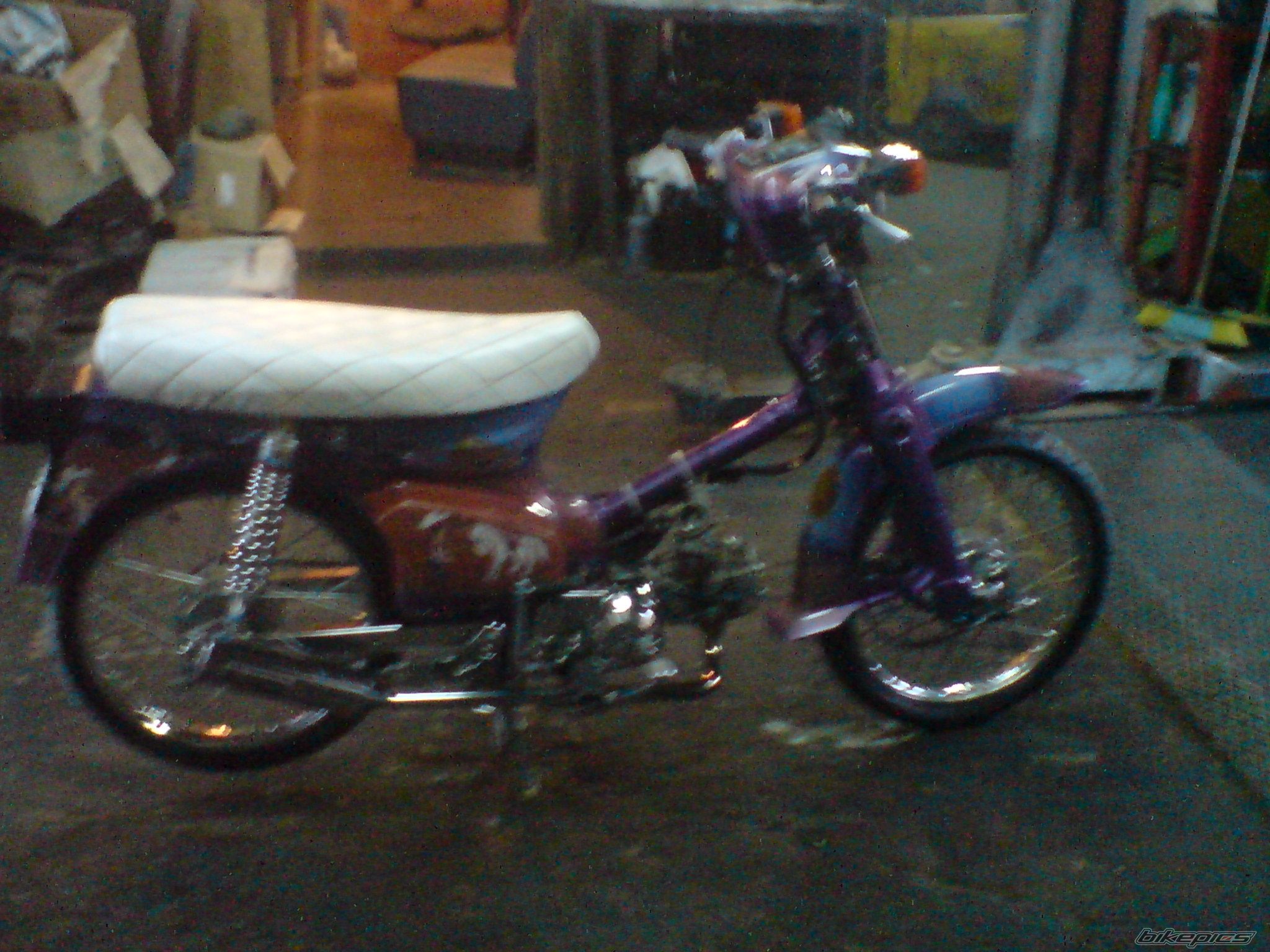 2008 HONDA GLX 50 | Picture 1103140 motorcycle photo