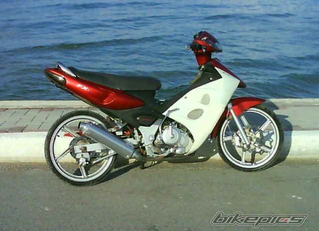 2008 SUZUKI FX 125 | Picture 1103909 motorcycle photo