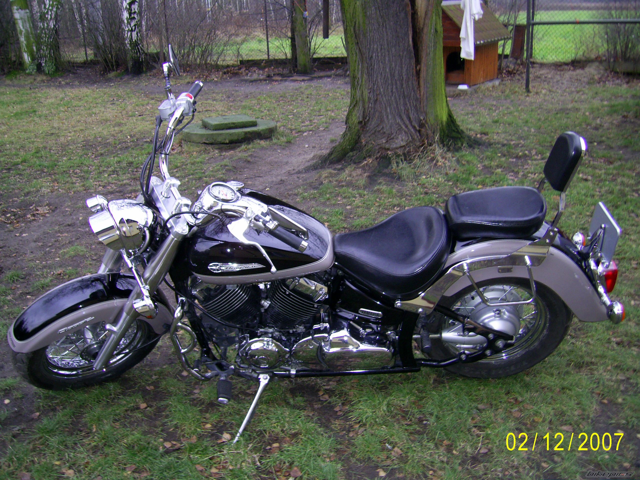 1999 YAMAHA XVS 650 DRAG STAR CLASSIC | Picture 1103954 motorcycle photo