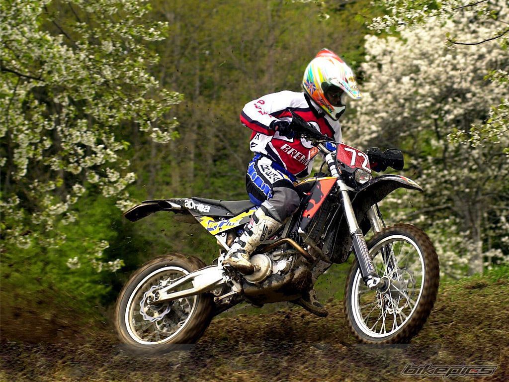 1978 HONDA XL 125 | Picture 1103993 motorcycle photo