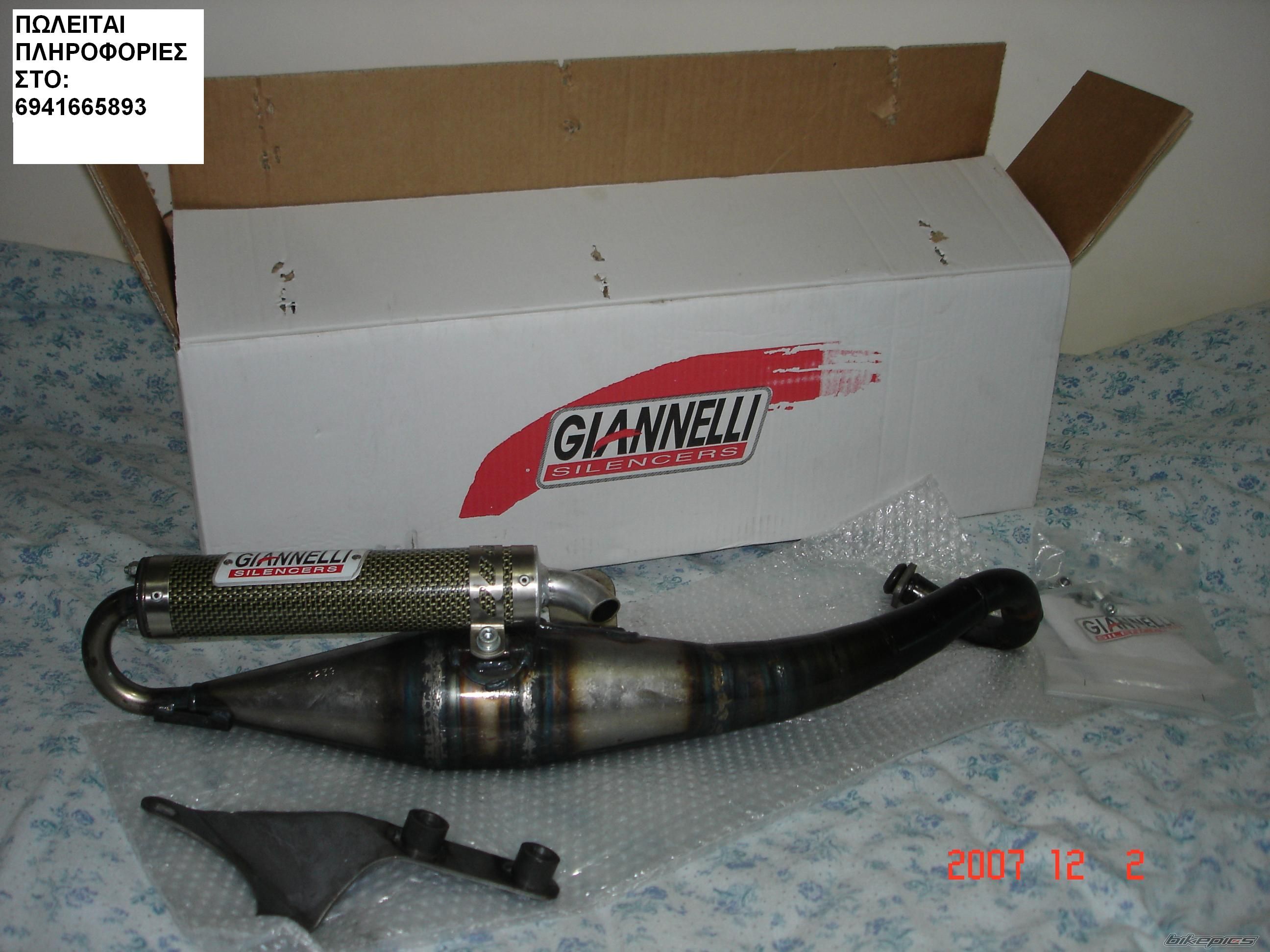 2008 GILERA RUNNER 50 | Picture 1104025 motorcycle photo