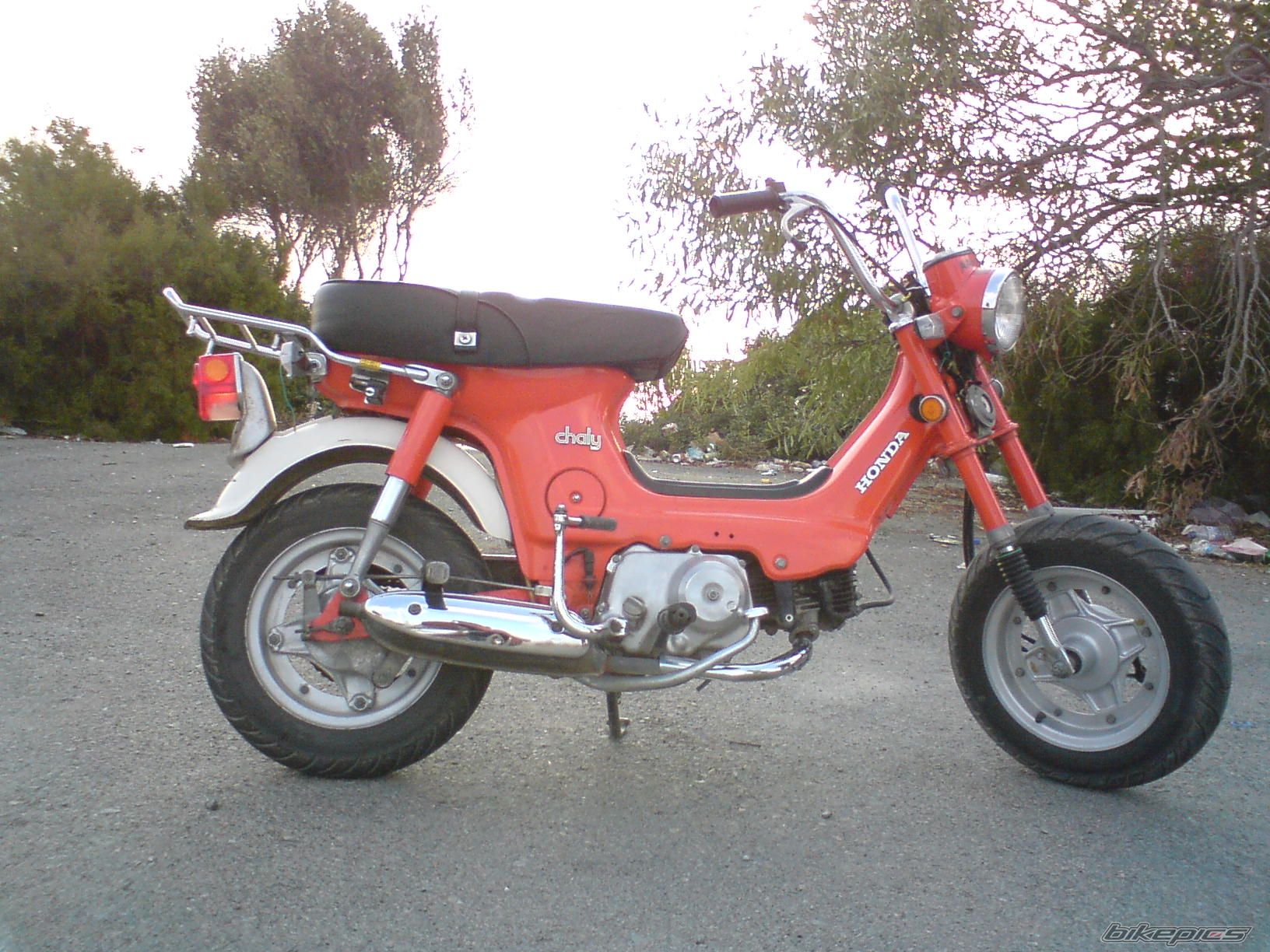 2008 HONDA CHALY | Picture 1104291 motorcycle photo