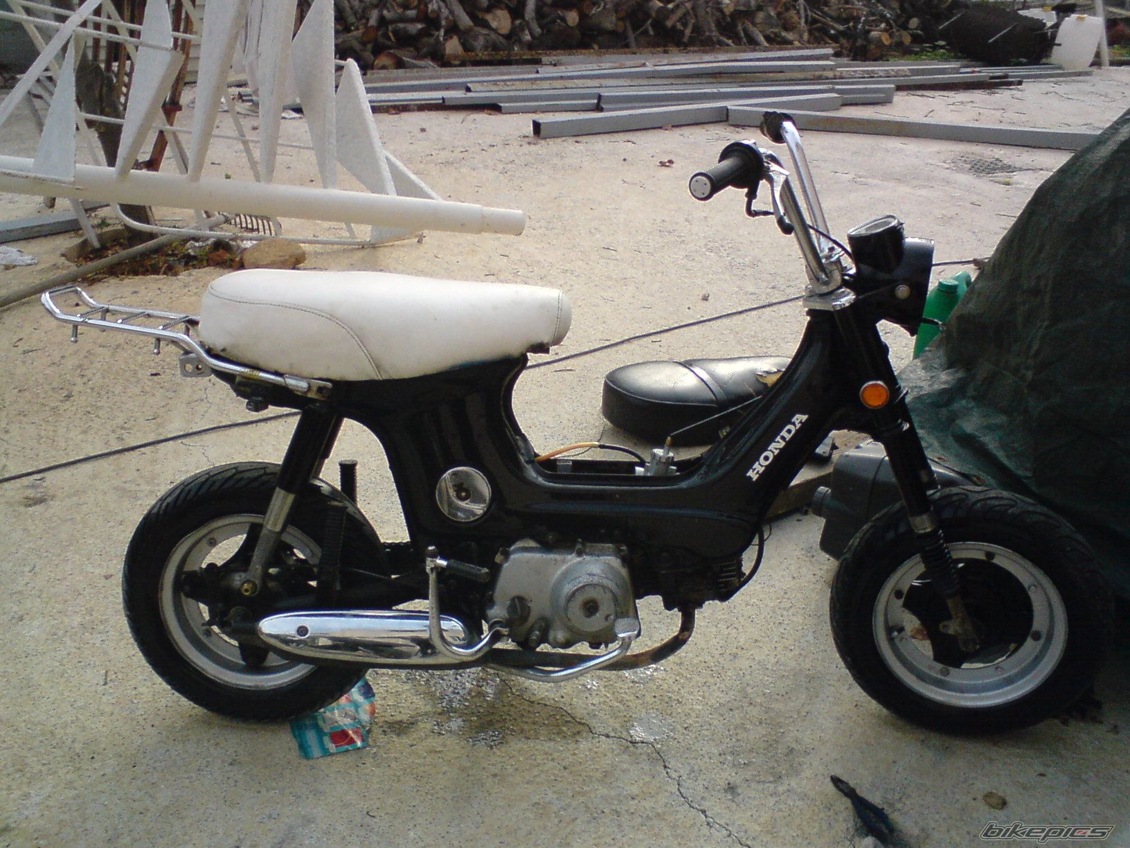 2008 HONDA CHALY | Picture 1104294 motorcycle photo