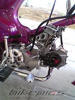 2008 YAMAHA Z 125 | Picture 1104422 motorcycle photo