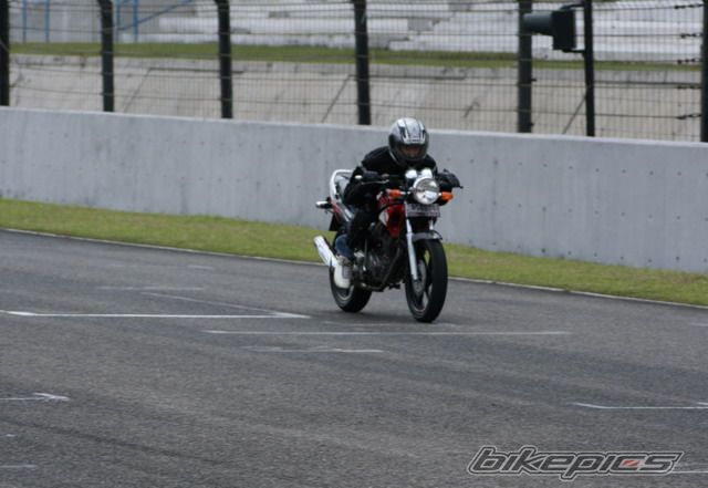 2004 HONDA TIGER | Picture 1105073 motorcycle photo