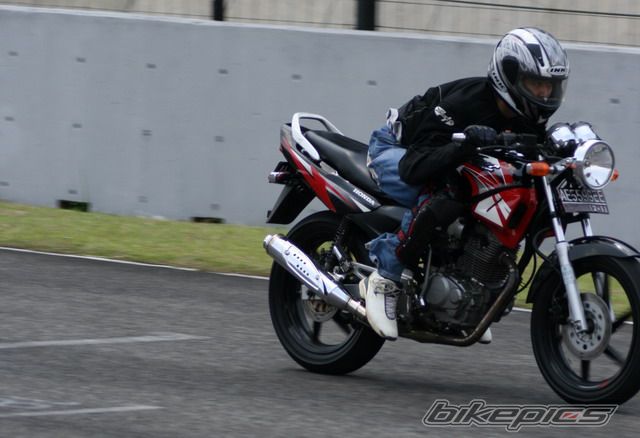 2004 HONDA TIGER | Picture 1105075 motorcycle photo