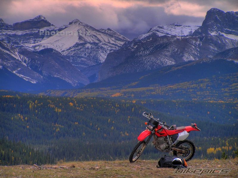 2004 HONDA XR 250 | Picture 1105493 motorcycle photo