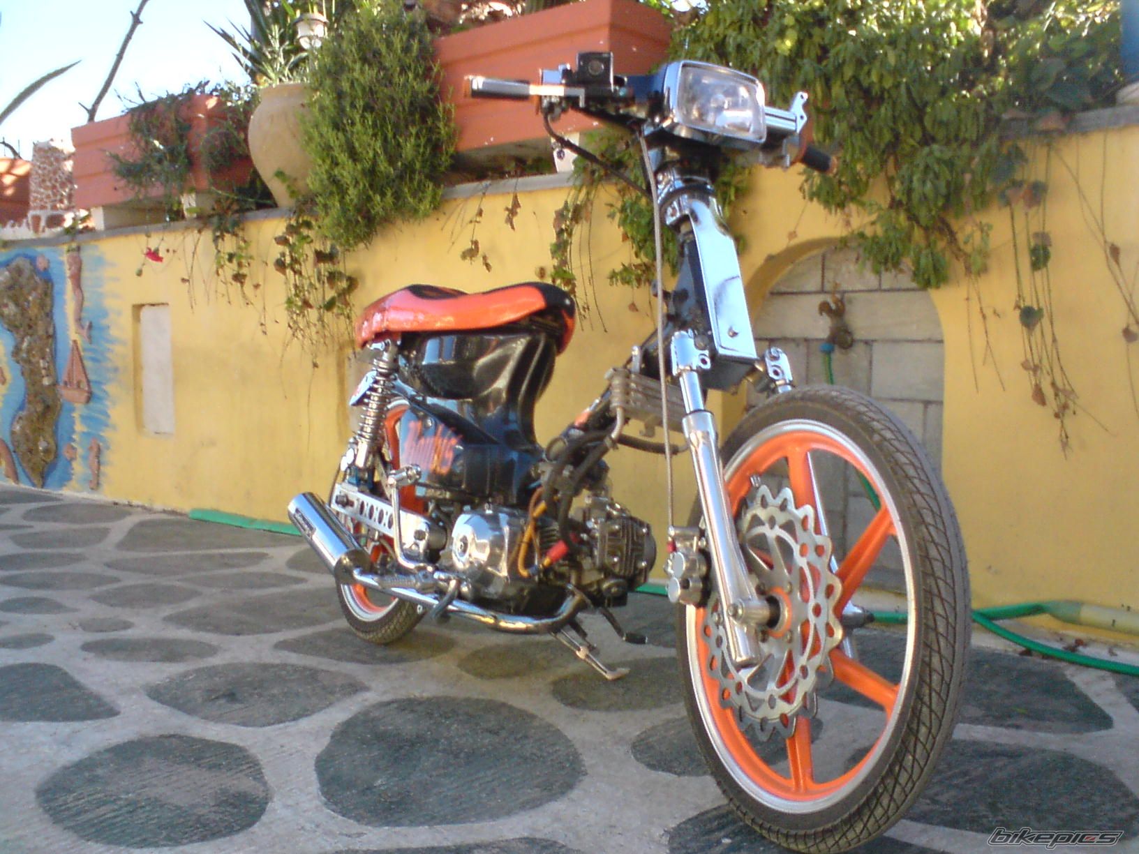 2008 HONDA GLX 50 | Picture 1105893 motorcycle photo
