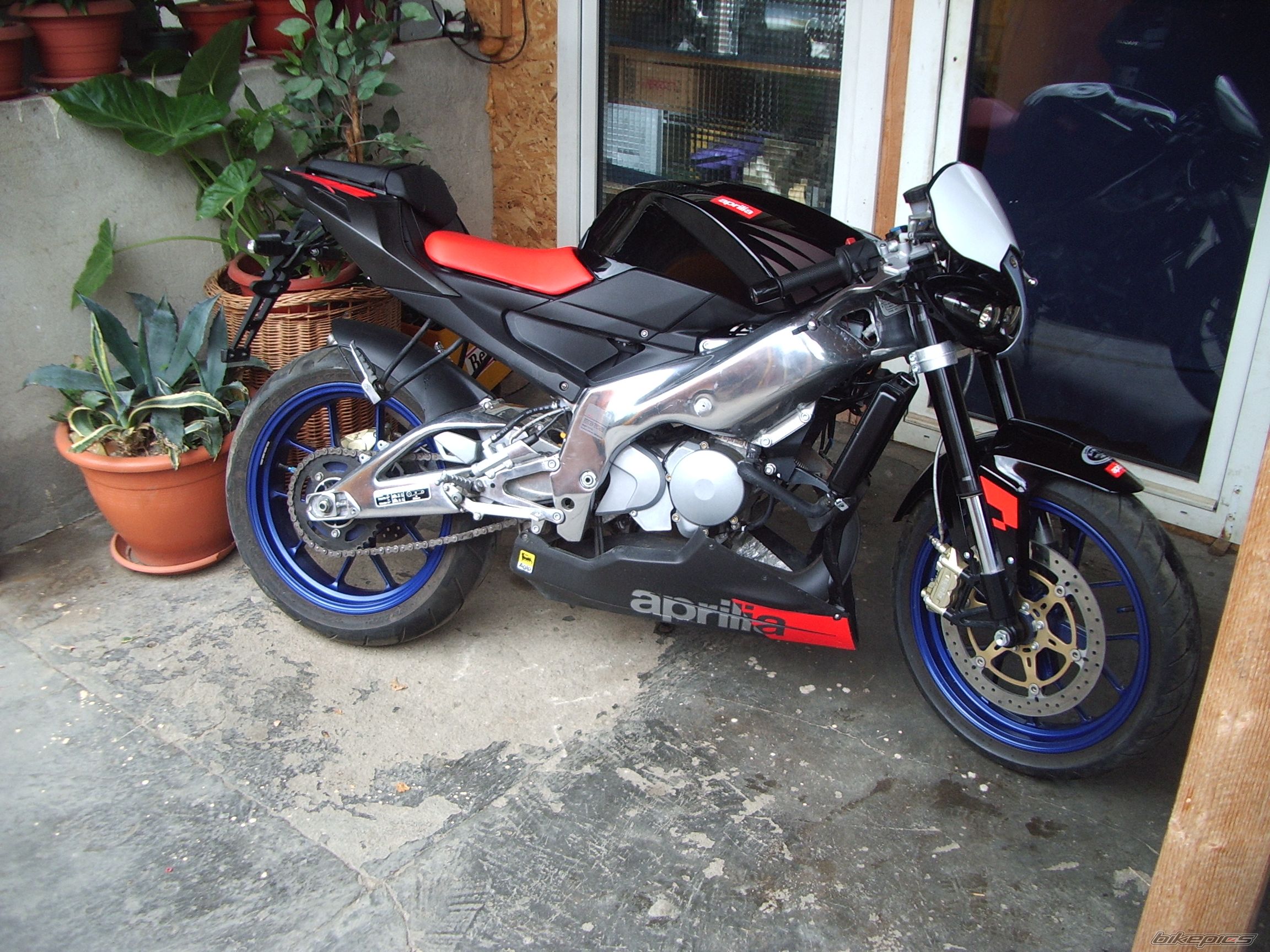 2007 APRILIA RS 125 | Picture 1106093 motorcycle photo