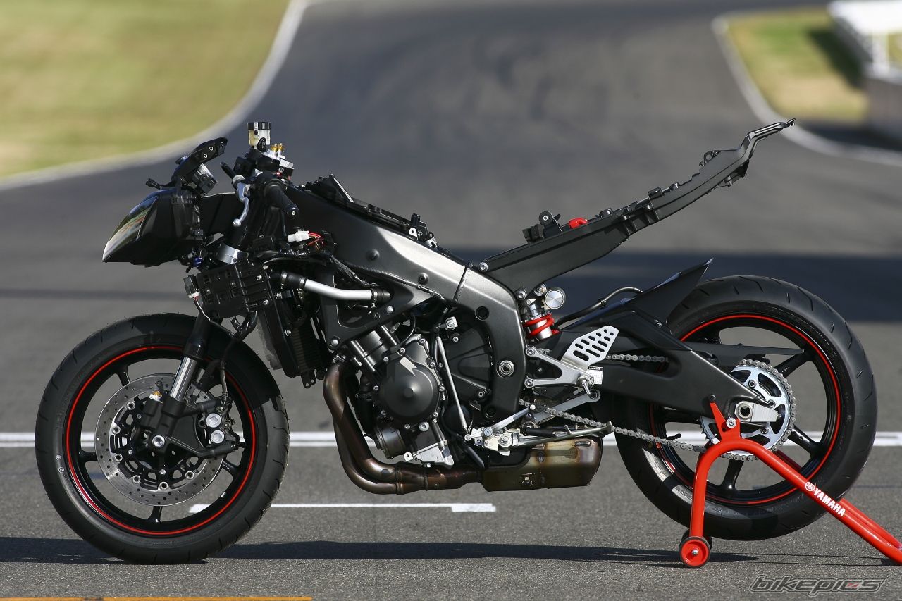 2008 YAMAHA YZF R6 | Picture 1106667 motorcycle photo