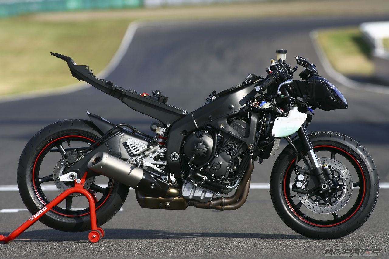 2008 YAMAHA YZF R6 | Picture 1106677 motorcycle photo