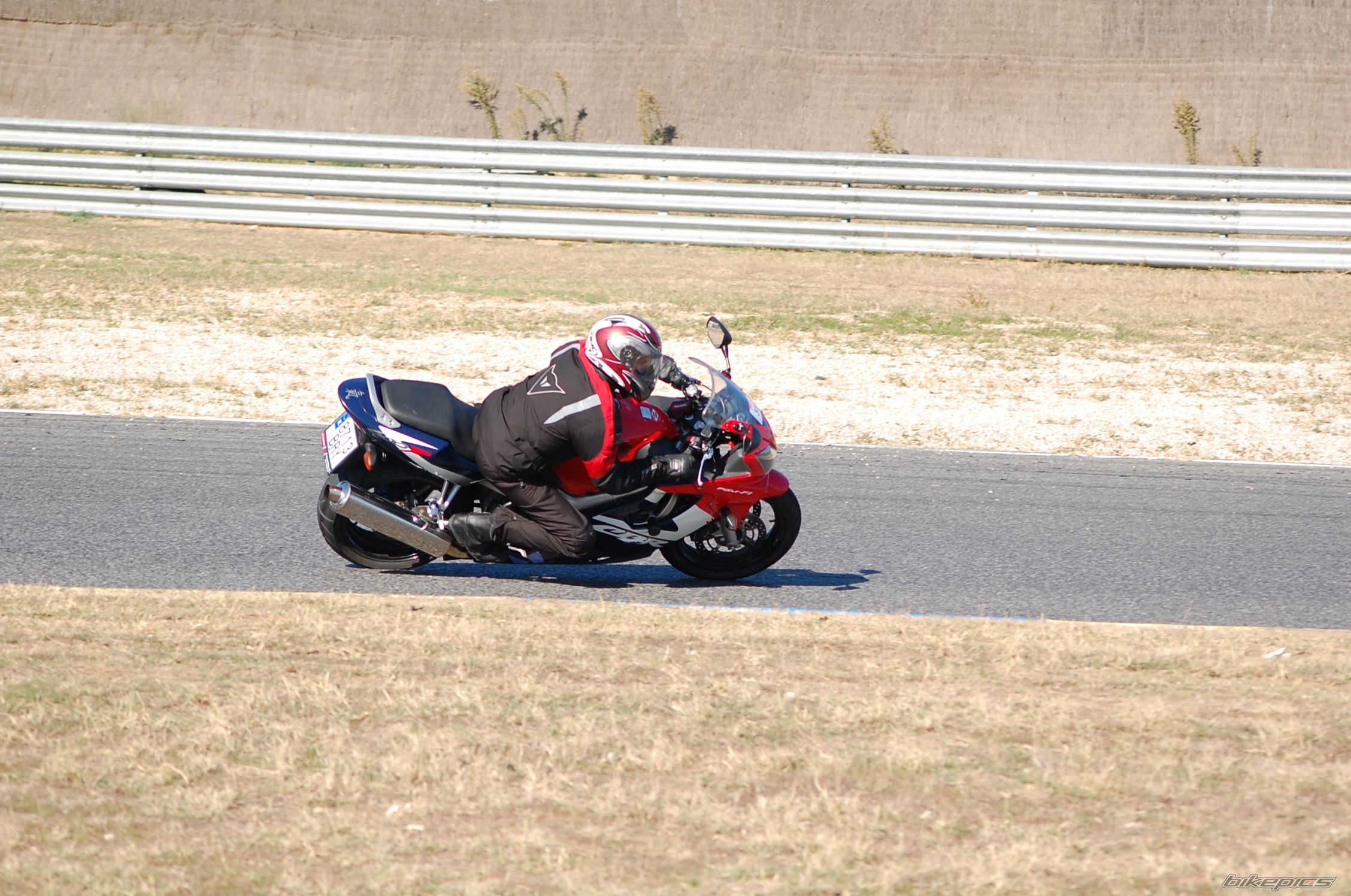 2002 HONDA CBR 600 | Picture 1106678 motorcycle photo