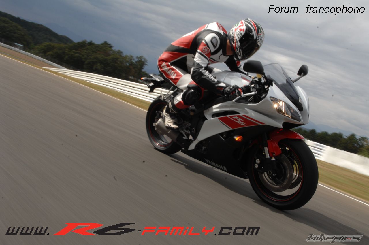 2008 YAMAHA YZF R6 | Picture 1106699 motorcycle photo