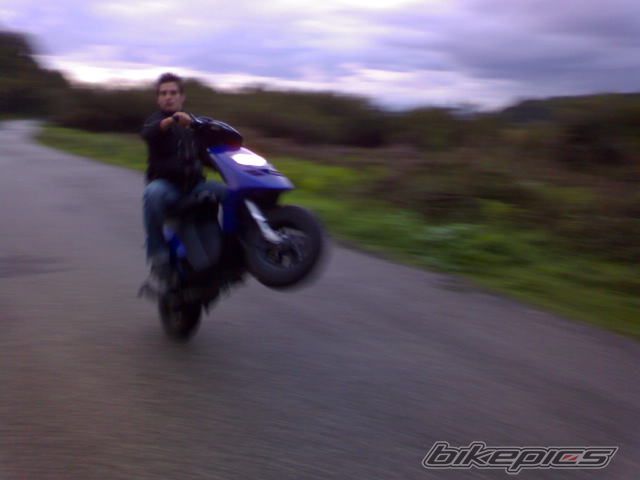 2008 PIAGGIO TYPHOON 50 | Picture 1106783 motorcycle photo