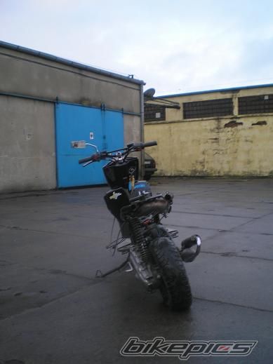 2003 YAMAHA EW 50 SLIDER | Picture 1107662 motorcycle photo