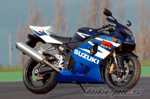 2004 SUZUKI GSX R 600 | Picture 110797 motorcycle photo