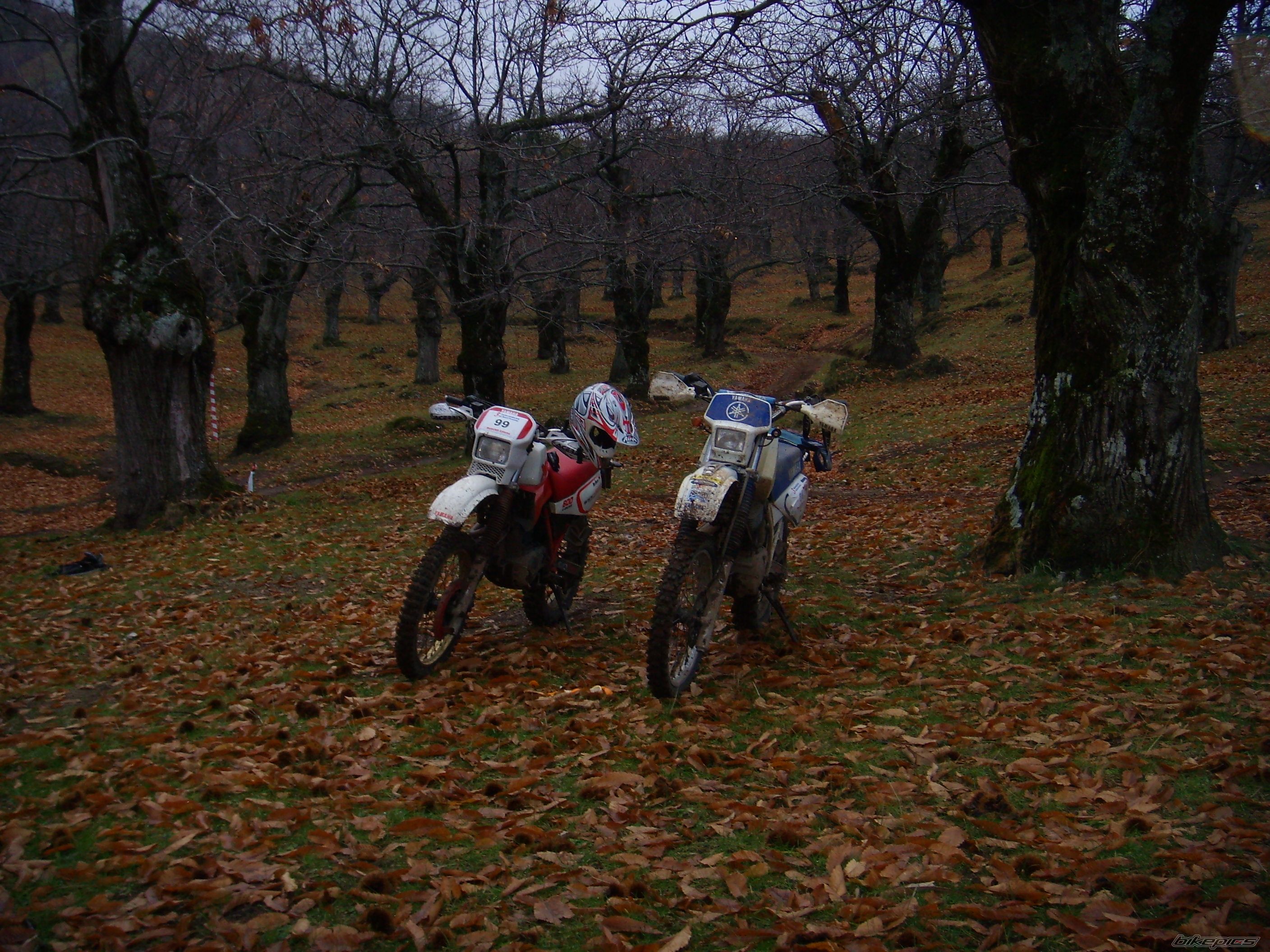 1989 YAMAHA XT 600 | Picture 1107973 motorcycle photo