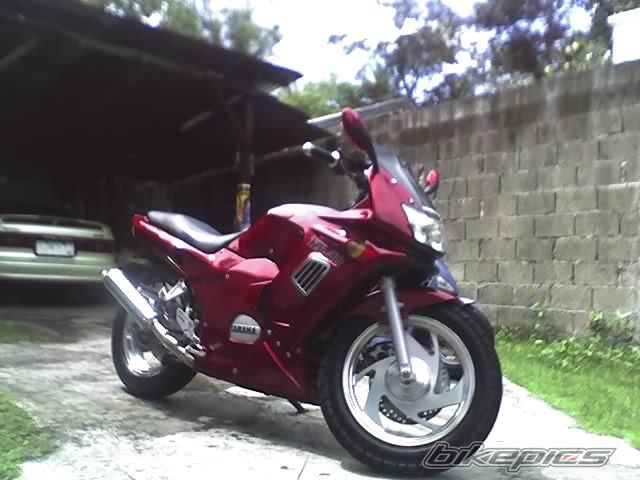 2004 YAMAHA TZR 250 | Picture 1108439 motorcycle photo