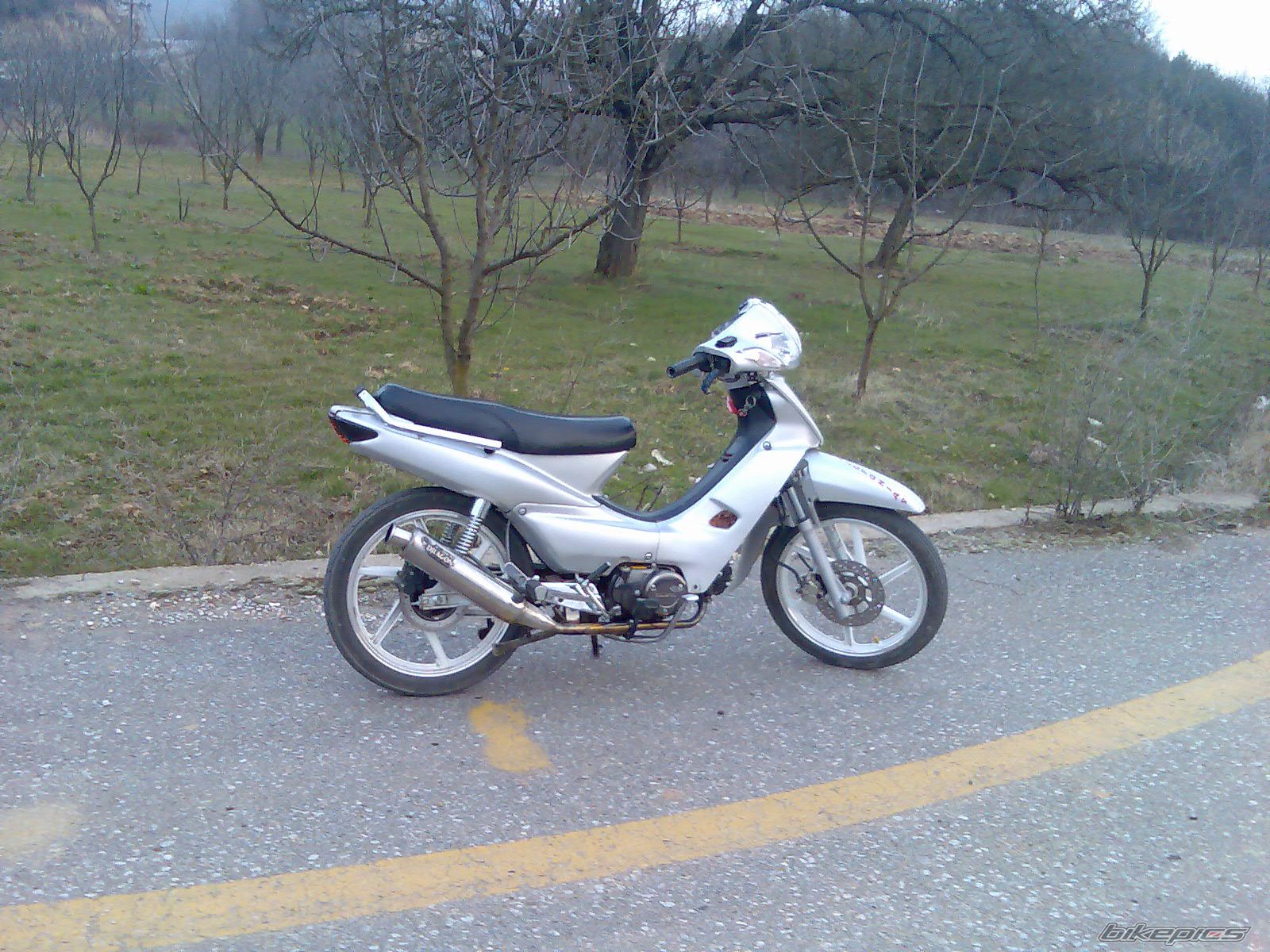 2008 HONDA SUPRA 110 | Picture 1108476 motorcycle photo