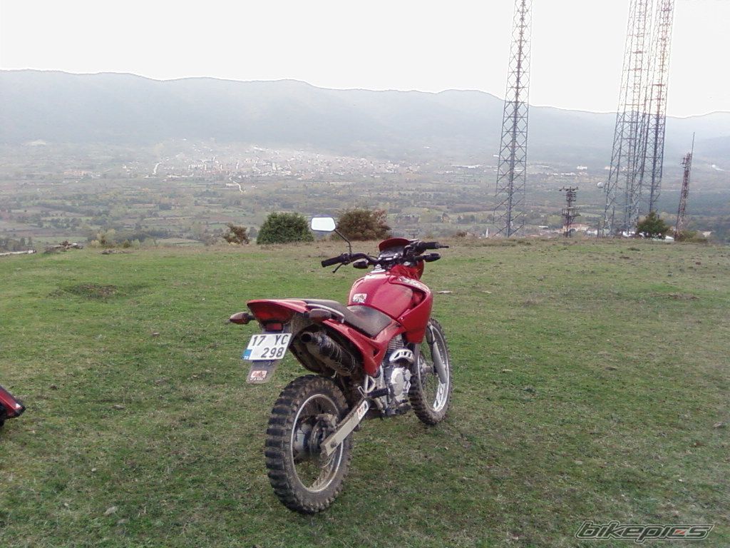 2004 HONDA NX 4 FALCON | Picture 1108899 motorcycle photo