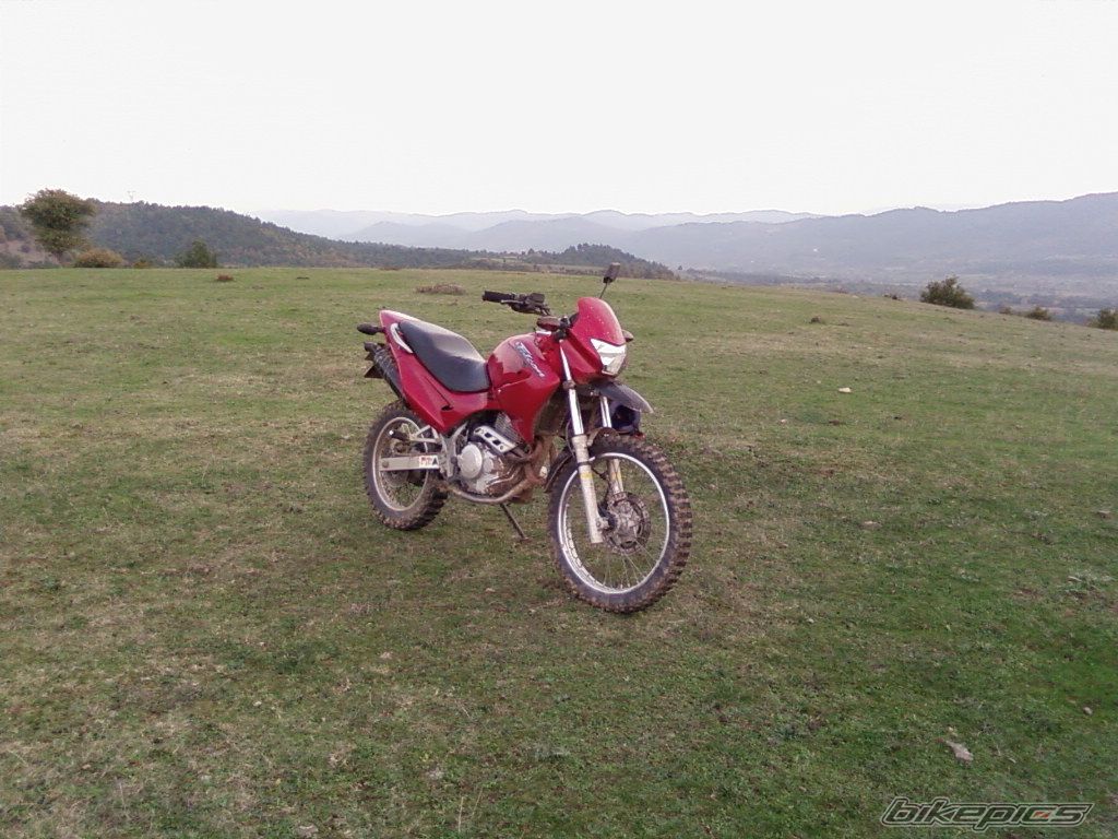 2004 HONDA NX 4 FALCON | Picture 1108901 motorcycle photo