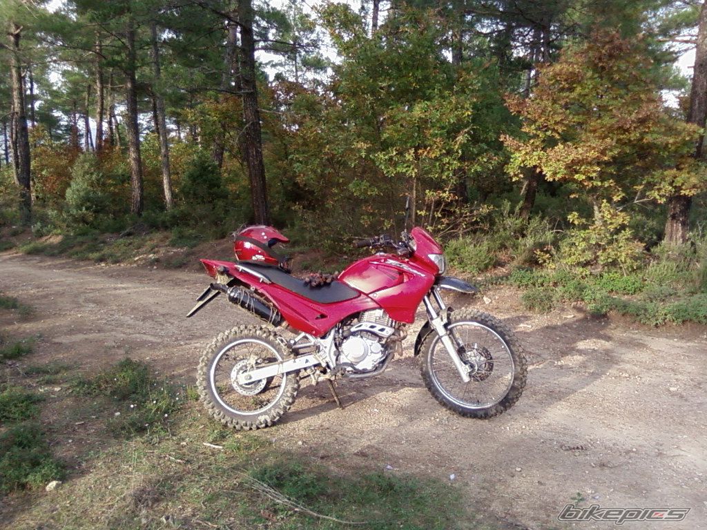 2004 HONDA NX 4 FALCON | Picture 1108903 motorcycle photo