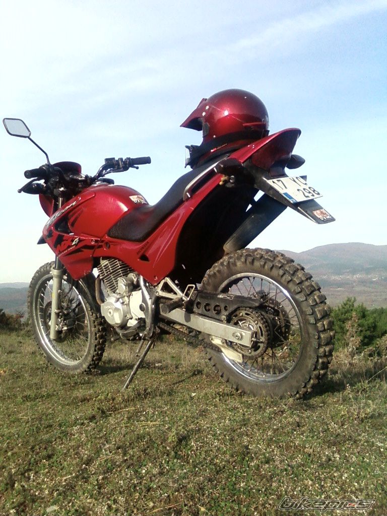 2004 HONDA NX 4 FALCON | Picture 1108908 motorcycle photo