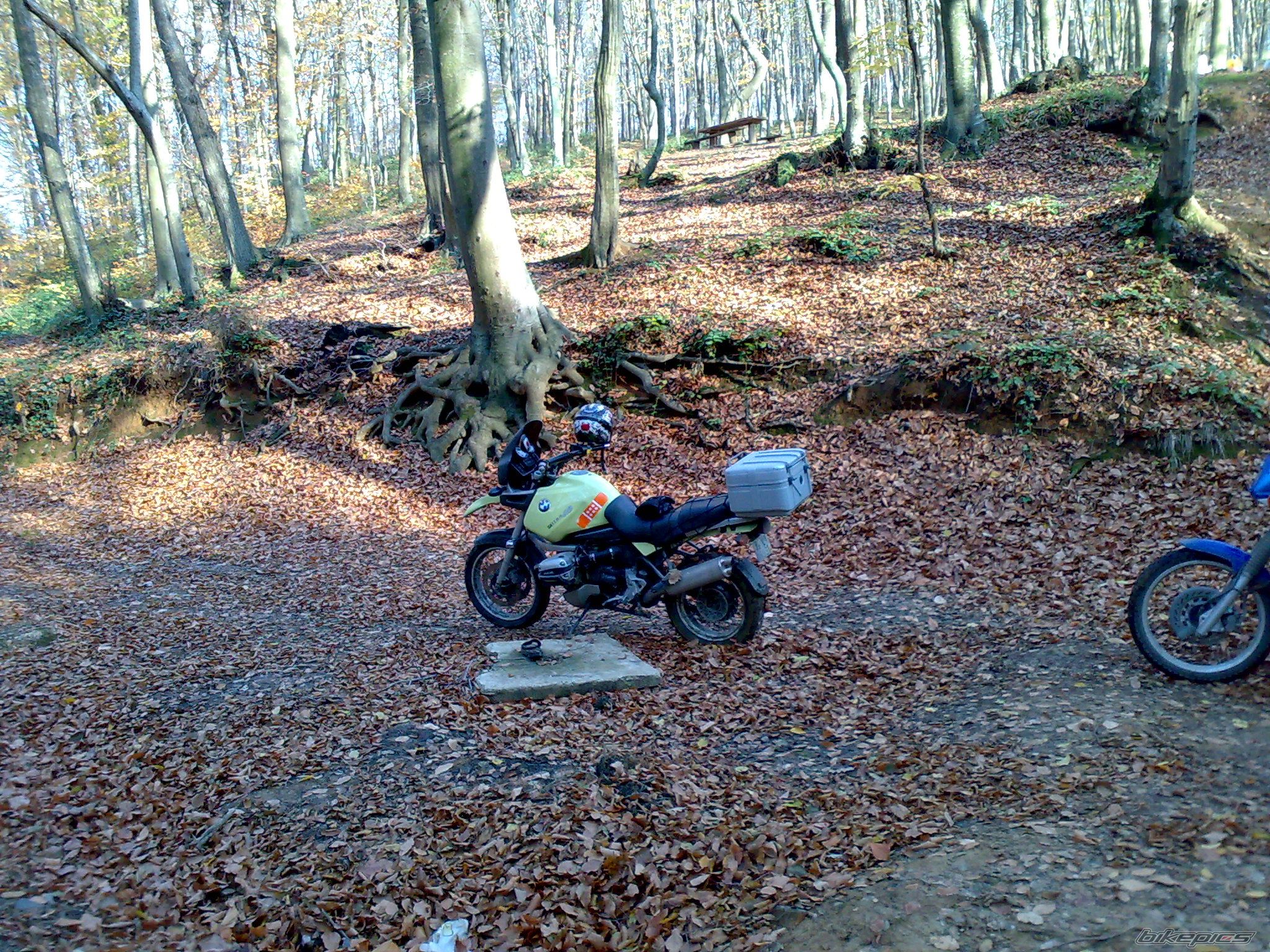 1998 BMW R 1100 GS | Picture 1108913 motorcycle photo
