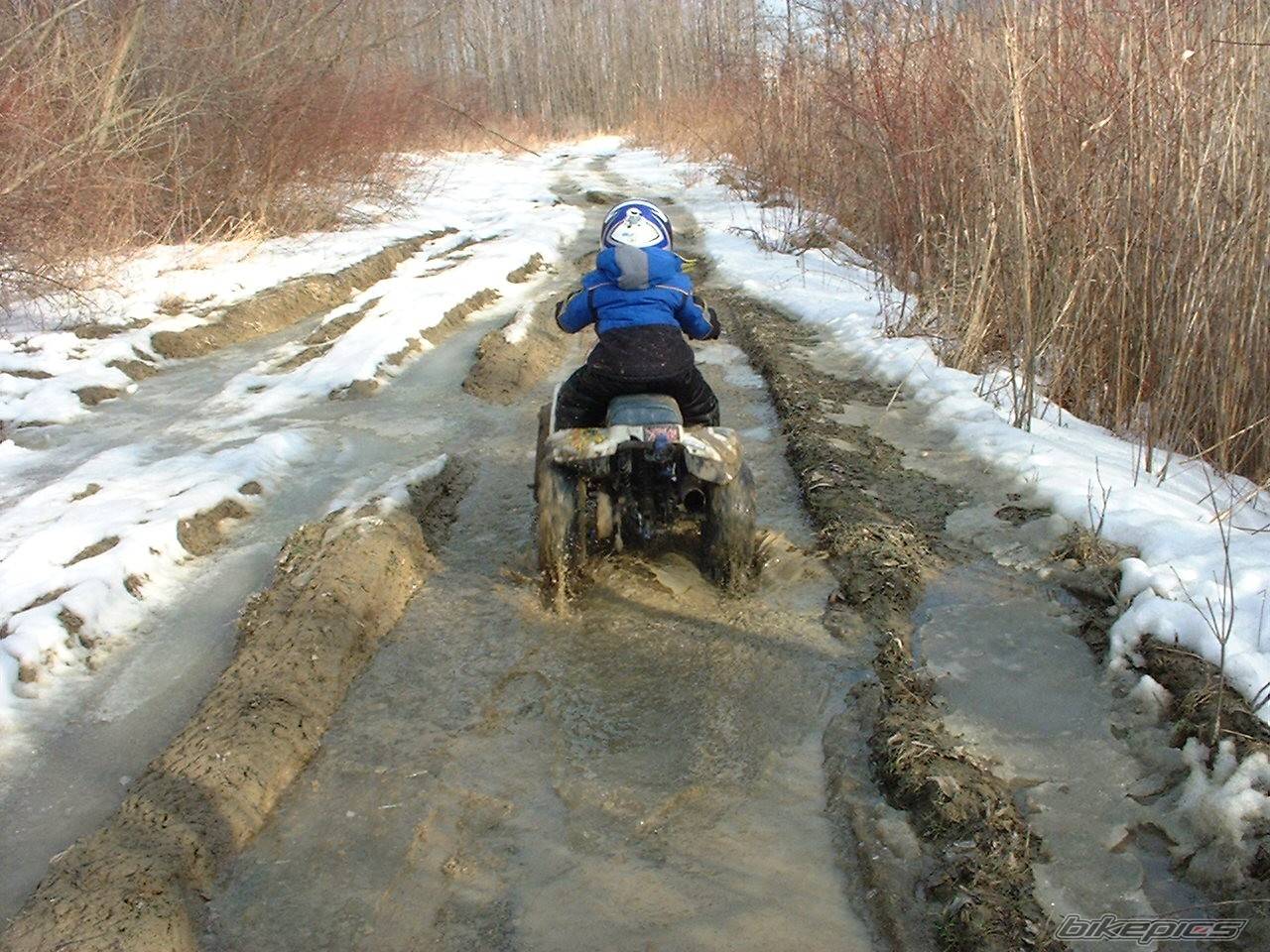 2001 YAMAHA PW 50 | Picture 110982 motorcycle photo