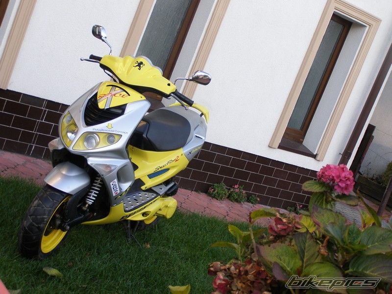 2003 PEUGEOT SPEEDFIGHT2 50 | Picture 1111143 motorcycle photo