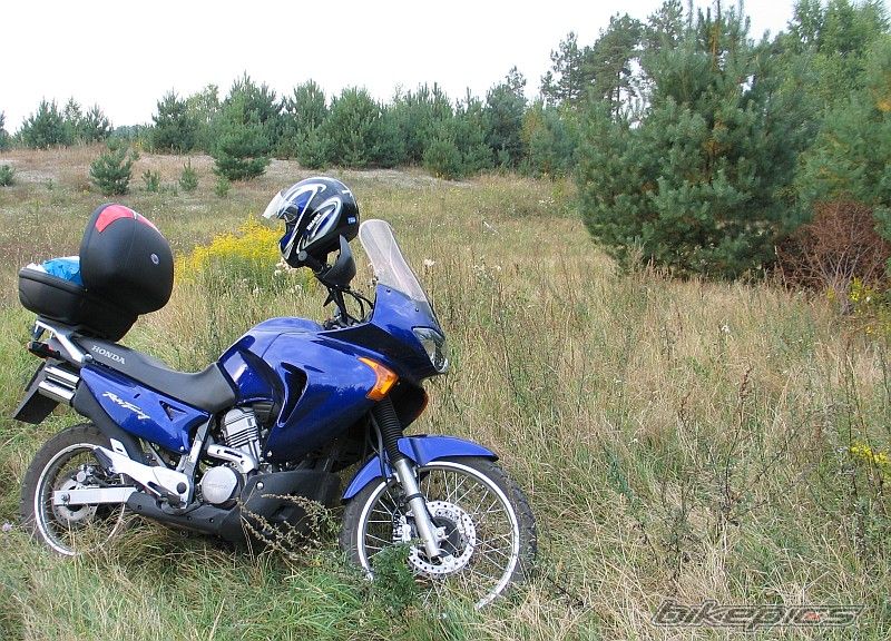 2003 HONDA XL 650V TRANSALP | Picture 1111182 motorcycle photo