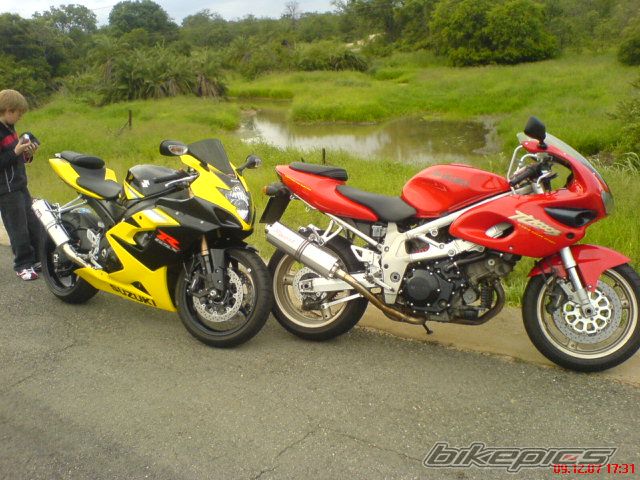 2008 SUZUKI TL1000S | Picture 1111324 motorcycle photo
