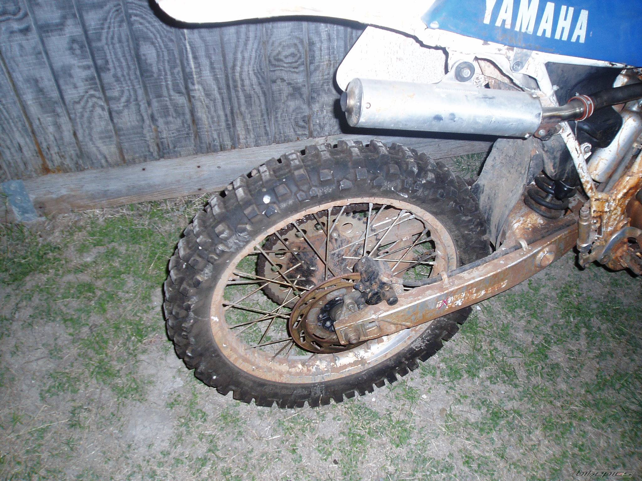 1992 YAMAHA WR 250 | Picture 111147 motorcycle photo