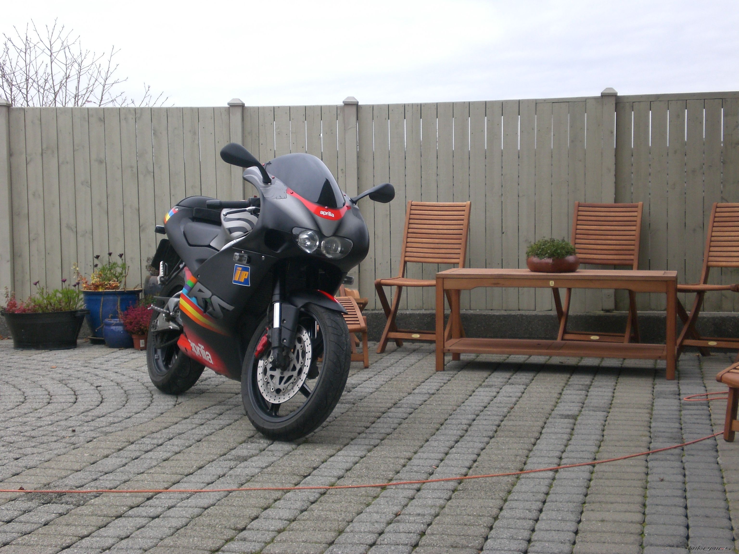 2004 APRILIA RS 125 | Picture 1111484 motorcycle photo