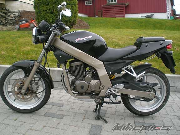 2004 DAELIM ROADWIN | Picture 1111490 motorcycle photo