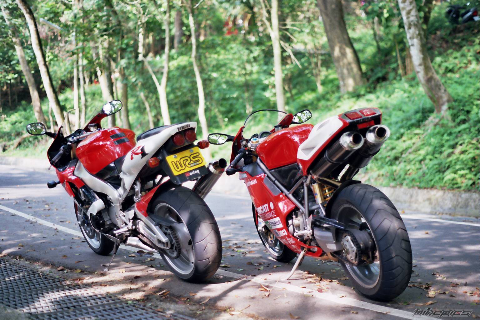 1999 YAMAHA YZF R1 | Picture 111173 motorcycle photo