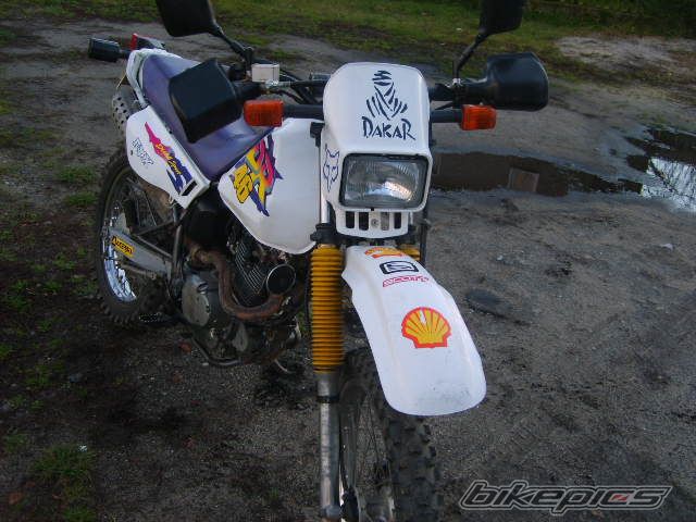 1997 SUZUKI DR 125 | Picture 1111955 motorcycle photo