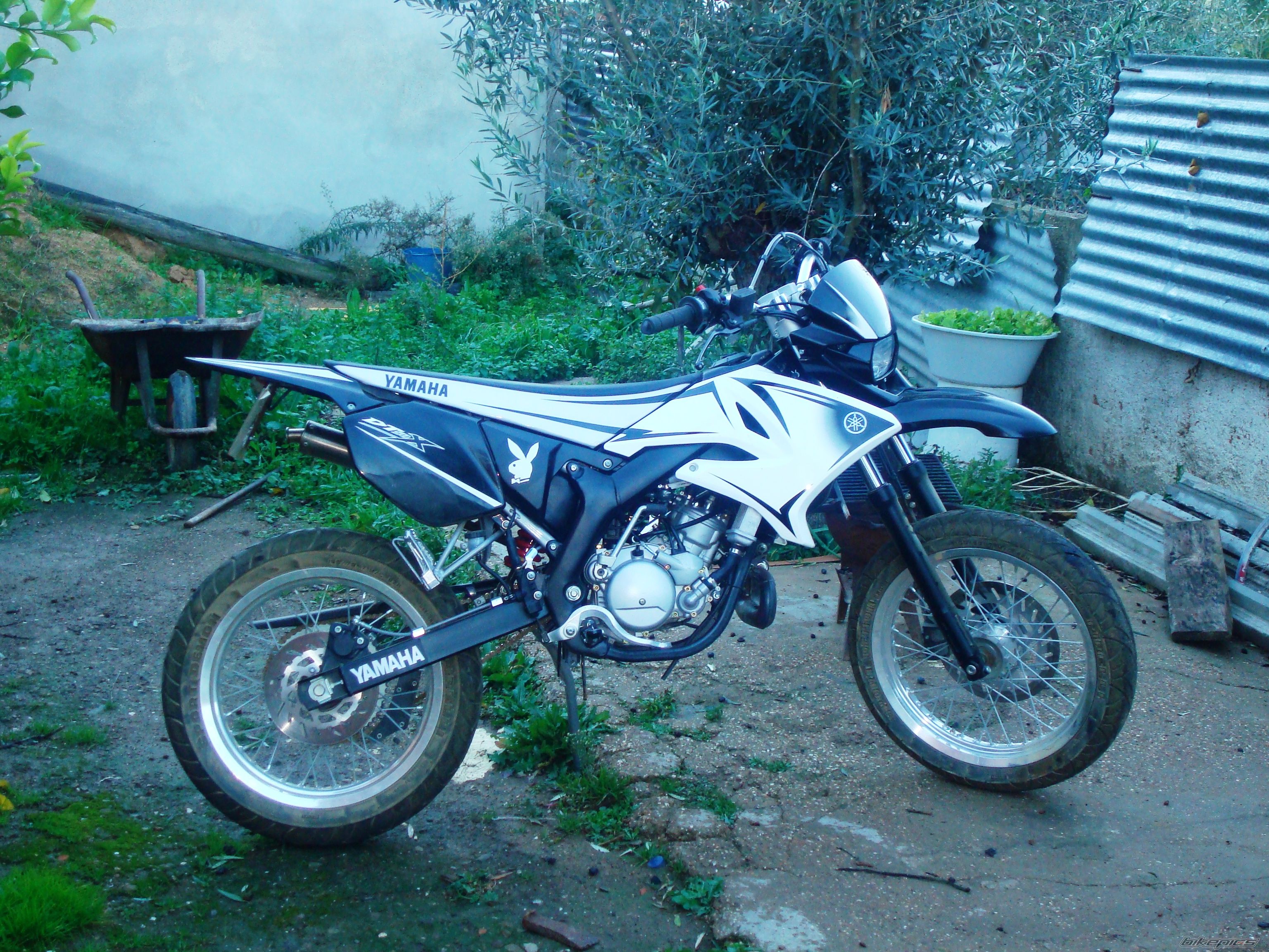 2008 YAMAHA DT 50 | Picture 1112151 motorcycle photo