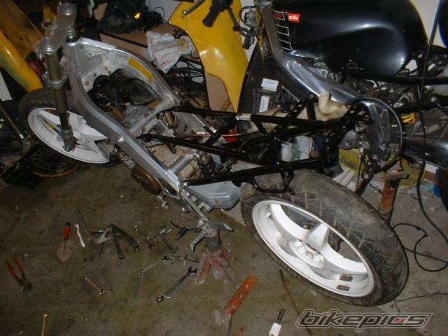 1993 APRILIA AF1 FUTURA 125 | Picture 111255 motorcycle photo