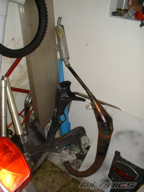 1993 APRILIA AF1 FUTURA 125 | Picture 111256 motorcycle photo