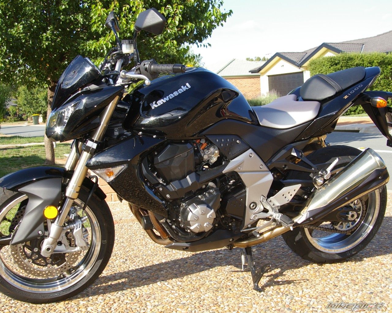 2007 KAWASAKI Z 1000 | Picture 1113205 motorcycle photo