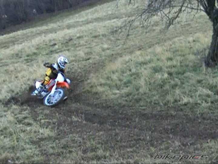 2008 HONDA CRF 450 | Picture 1113882 motorcycle photo