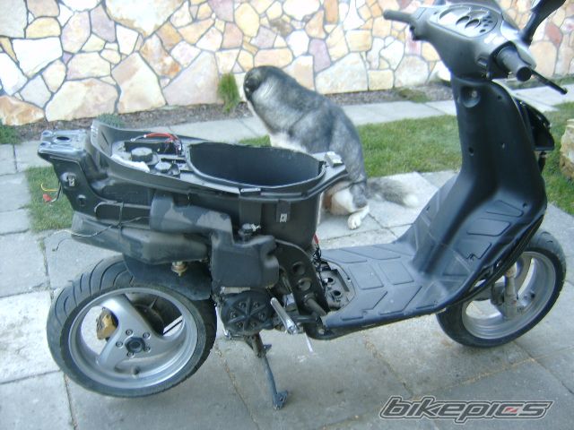 2004 PIAGGIO NRG | Picture 1114622 motorcycle photo