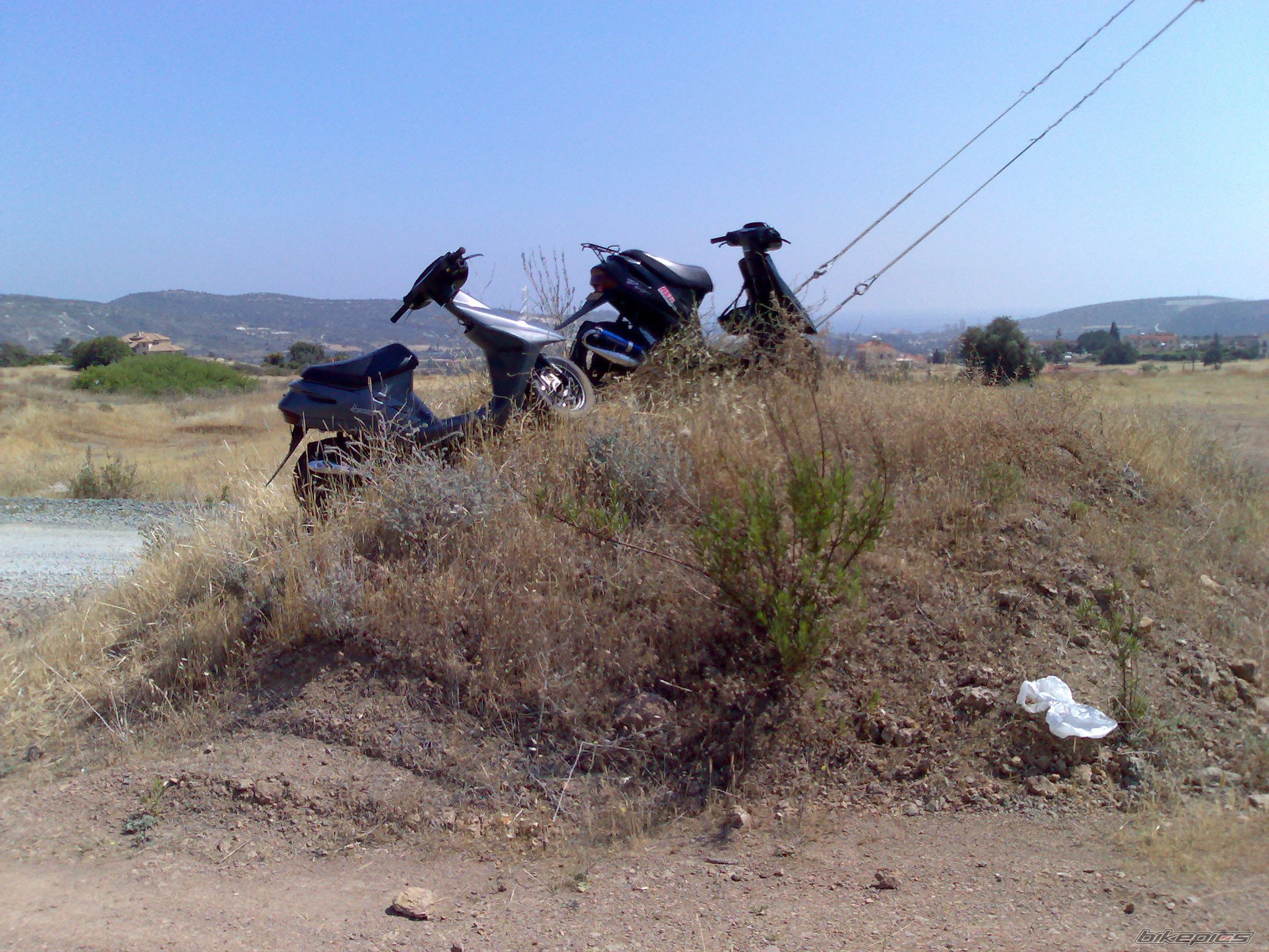 2008 HONDA DIO 50 | Picture 1114720 motorcycle photo