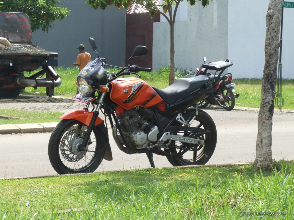 2005 YAMAHA SCORPIO 225 | Picture 1115031 motorcycle photo