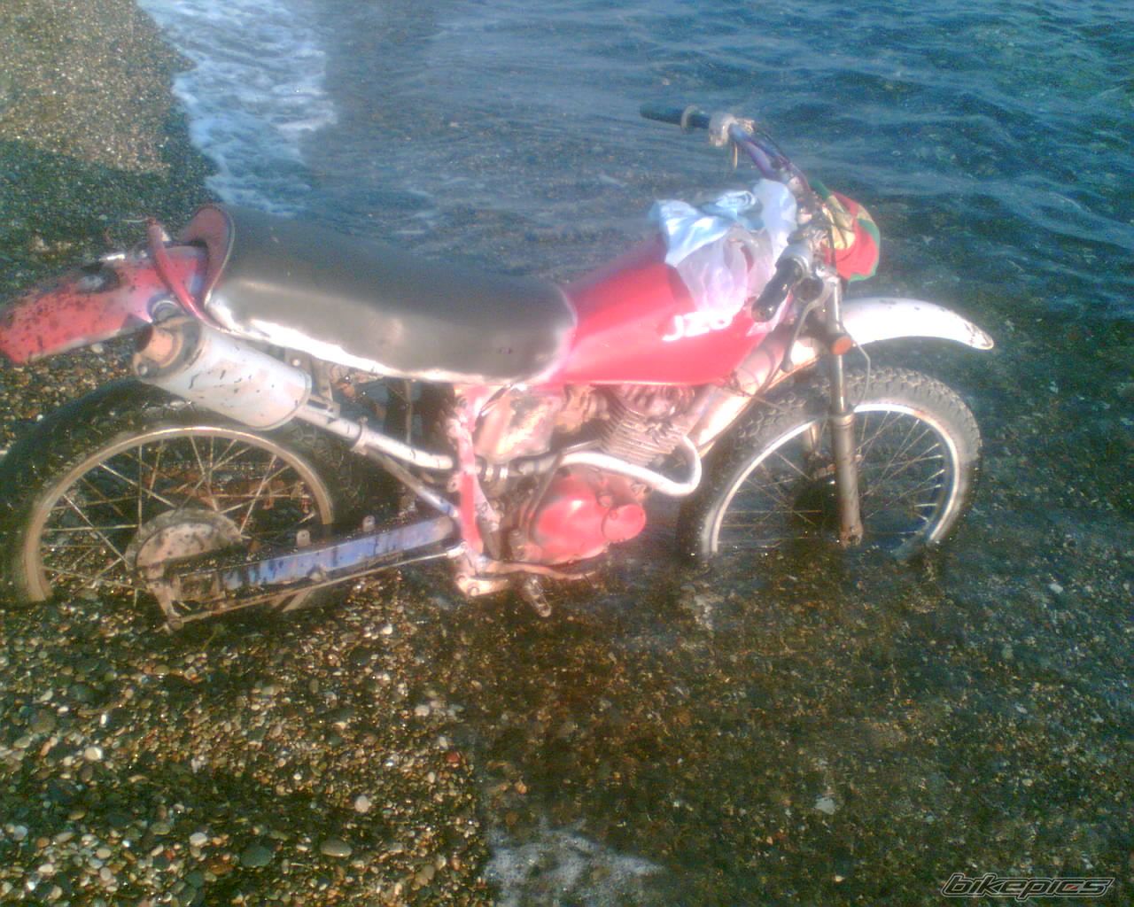 2009 SUZUKI DR 125 | Picture 1115193 motorcycle photo