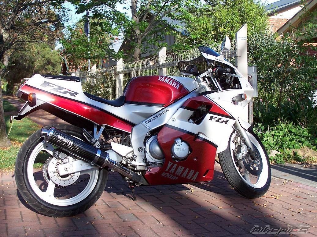 1991 YAMAHA FZR 250 | Picture 111557 motorcycle photo