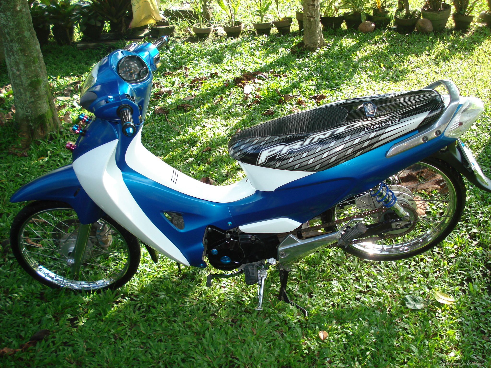 2007 HONDA WAVE 125 | Picture 1115858 motorcycle photo