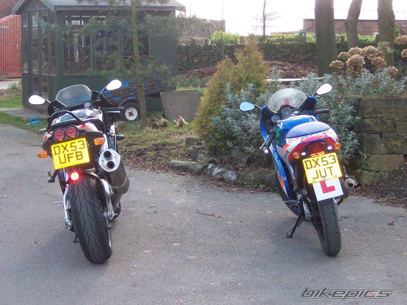 2003 APRILIA RSV 1000 MILLE | Picture 111643 motorcycle photo