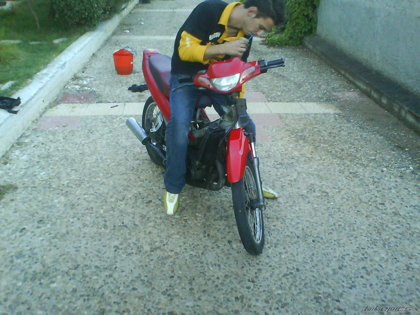 2008 YAMAHA Z 125 | Picture 1116584 motorcycle photo